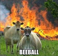 Image result for Evil Cow Meme