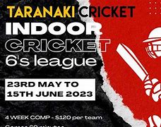 Image result for Indoor Cricket Pitch
