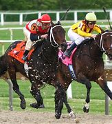 Image result for Silver Trophy Horse Racing