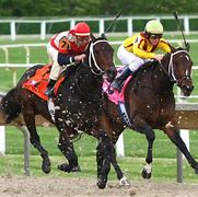 Image result for Racing Horse Man
