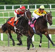 Image result for Horse Racing Aniated Wallpaper