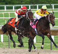 Image result for Horse Racing Wallapepr