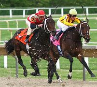 Image result for Horse Racing Fields Workouts
