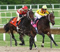 Image result for Newport Horse Race Day