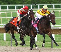 Image result for Horse Racing Canvas Art