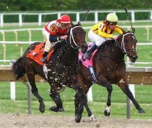 Image result for Horse Race in New York