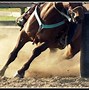 Image result for Barrel Racing Horse Wallpaper