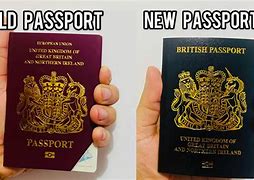 Image result for New vs Ol Colour