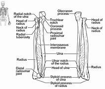 Image result for Monopole Structure Arm