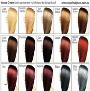 Image result for Honey Brown Hair Color Chart