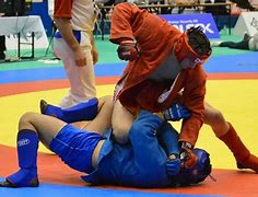 Image result for Sambo Fighting Style