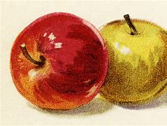 Image result for Red and Yellow Vintage Apple's