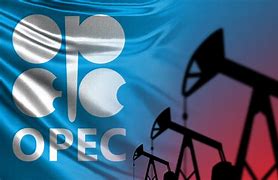Image result for OPEC