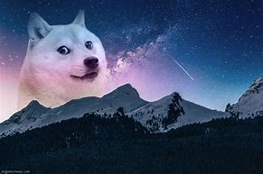 Image result for Galaxy Doge Meme