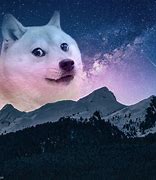 Image result for Doge Live Wallpaper