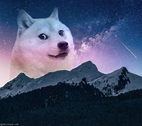 Image result for Cosmic Doge