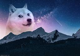 Image result for Wallpaper 1080P Galaxy Doge