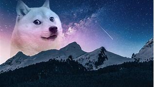 Image result for Dog Funny Galaxy Wallpaper