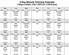 Image result for 6 Day Workout Schedule