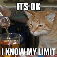 Image result for Never Buy a Cat When Your Drunk Meme