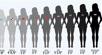 Image result for Average Female Height