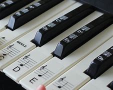 Image result for 88 Black Keys Piano Notes