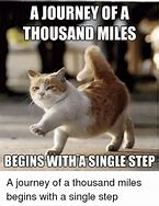 Image result for A Thousand Miles Meme
