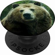 Image result for Bear Popsockets