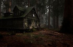 Image result for Post-Apocalyptic Forest