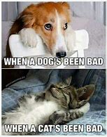 Image result for Cat and Dog Memes to End a Presentation