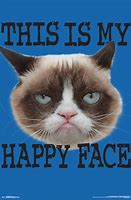 Image result for Grumpy Cat Is Happy