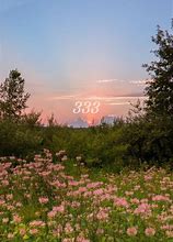 Image result for 333 Aesthetic