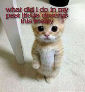Image result for Cute Sad Cat Memes