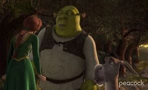 Image result for Shrek Ops Meme