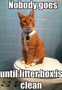 Image result for Duty Cat Box Memes