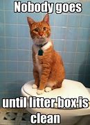 Image result for Super Funny Cat Memes