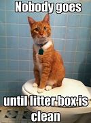 Image result for Funny Cat Memes Clean