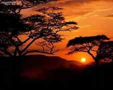 Image result for Serengeti Sunset