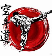 Image result for Japanese Karate National Team Art
