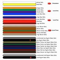 Image result for Taekwondo Belt Order