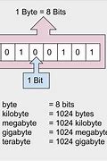 Image result for Types of Bytes