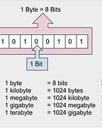 Image result for Binary Data Type