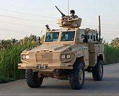 Image result for MRAP RG Family