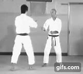 Image result for wado ryu martial arts