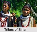 Image result for Xun Tribe
