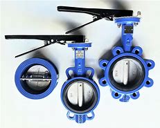 Image result for Stainless Steel Wafer Butterfly Valve