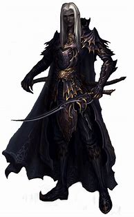 Image result for Drow Elf Male Fighter