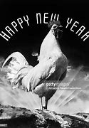 Image result for Funny New Year Greetings