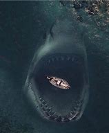 Image result for Scary Megalodon Shark