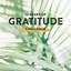 Image result for Gratitude Challenge